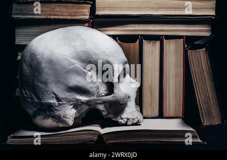 Photo d'un crâne humain ombragé posé sur une pile de livres. Banque D'Images