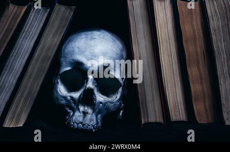 Photo d'un crâne humain ombragé posé entre les rangées de livres. Banque D'Images