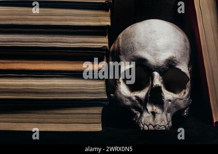 Photo de crâne humain ombragé posé entre les livres rangée, concept de livres d'horreur. Banque D'Images