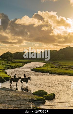 Agriculture au pays de Galles. Tremplins près du château d'Ogmore sur l'Afon Ogwr / rivière Ogmore près de Bridgend à Mid Glamorgan : Phillip Roberts Banque D'Images