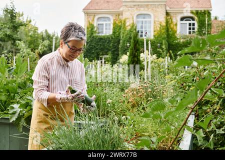 jolie femme mûre joyeuse en tenue décontractée avec des lunettes tenant des courgettes fraîches dans son jardin Banque D'Images