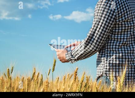 Homme d'affaires est sur un champ de blé mûr et tient un ordinateur tablette. Le concept de l'entreprise agricole. Banque D'Images