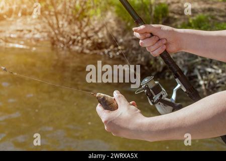 Le pêcheur tient un poisson pêché sur un hameçon dans un étang d'eau douce. Banque D'Images