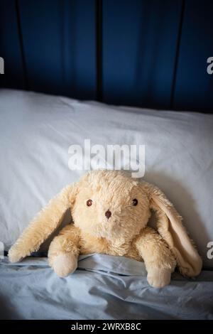 Jouet en peluche lapin blanc posé sous des couvertures dans le lit des parents avec des couvertures bleues et lumière douce du jour. vue centrale, prise de vue verticale. Banque D'Images