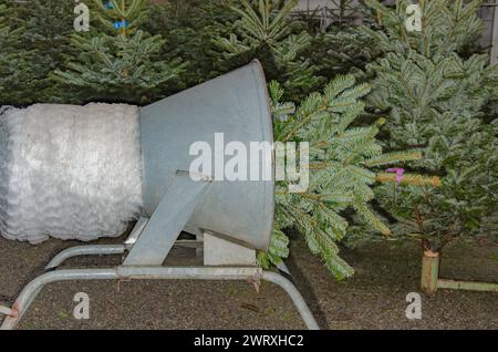 Machine pour envelopper des arbres de Noël. Gros plan. Banque D'Images