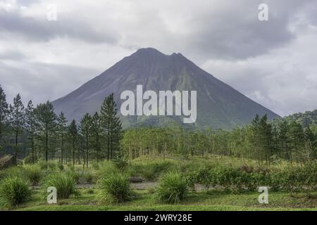 Volcan massif à côté de la forêt. Photo de haute qualité Banque D'Images