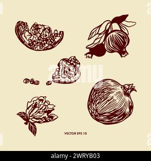 Grenade dessinée à la main, graphiques. Fruits entiers, tranches. Illustration vectorielle dans le style botanique. Cartes, étiquettes alimentaires, bannières, couvertures, affiches, prospectus. Illustration de Vecteur