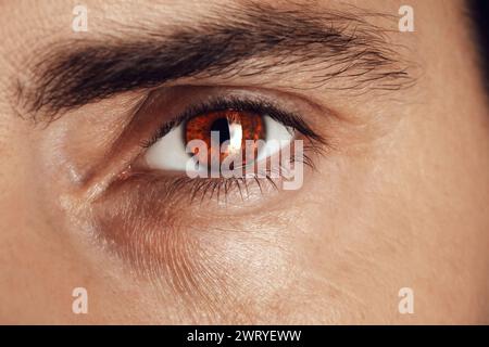 Regard captivant. Homme aux yeux bruns, gros plan Banque D'Images