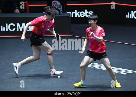 Singapour. 14 mars 2024. Sun Yingsha (R)/Wang Chuqin de Chine célèbrent la demi-finale de double mixte contre Chen Szu-Yu/Lin Yun-Ju du Taipei chinois au World Tennis de table (WTT) Singapore Smash 2024 à Singapour, le 14 mars 2024. Credit : puis Chih Wey/Xinhua/Alamy Live News Banque D'Images