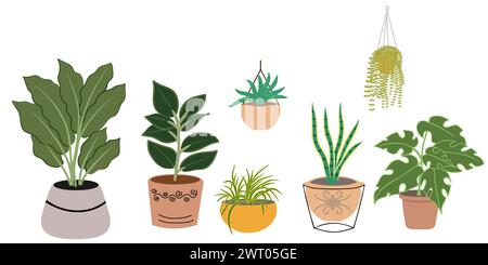 Plantes d'intérieur dans la collection de pots sur fond blanc. Set vecteur de plantes suspendues, pantalon serpent, lierre, plante en caoutchouc dans l'argile céramique brune Illustration de Vecteur