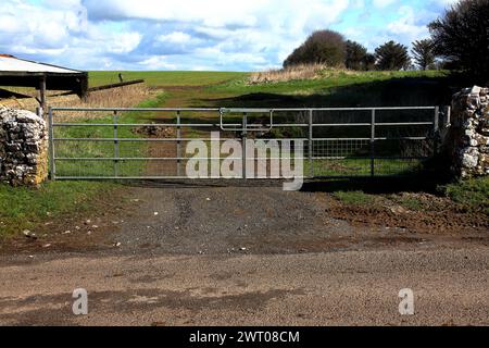 Une double passerelle pour les véhicules agricoles plus larges, située entre deux murs de pierre dans un cadre rural. Banque D'Images