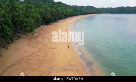 Une plage avec une verdure luxuriante le long du bord de l'eau Banque D'Images