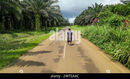 Un homme se promenant le long d'un chemin bordé de palmiers Banque D'Images