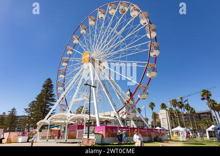 Glenelg Beach Adélaïde, grande roue géante et parc d'attractions à Glenelg, Australie méridionale, 2024 Banque D'Images