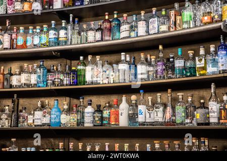 Mur de Gin, des dizaines de bouteilles de gin affichées dans un bar à gin dans la vallée de Barossa Australie du Sud, grand mur de bouteilles de gin, Australie, 2024 Banque D'Images