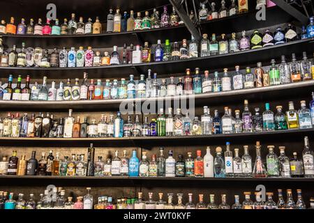 Mur de Gin, des dizaines de bouteilles de gin affichées dans un bar à gin dans la vallée de Barossa Australie du Sud, grand mur de bouteilles de gin, Australie, 2024 Banque D'Images