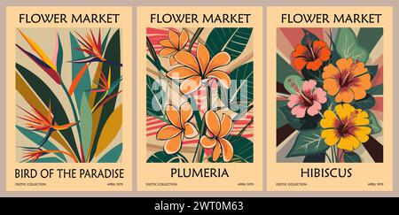 Ensemble de posters abstraits de Flower Market Protea. Illustration de Vecteur