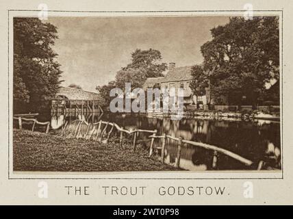 Le Trout Godstow. Henry W. Tunt, photographe (britannique, 1842 - 1922) vers 1886 une des deux photographies illustrant une carte imprimée de Cassington, Wytham, et les environs le long de la Tamise. La photographie montre une vue du Trout Inn de l'autre côté de la rivière. Le pont Godstow traverse la rivière sur le côté gauche de l'auberge, et une clôture en bois borde la rive au premier plan. (Recto, monture) centre inférieur, image ci-dessous, imprimé à l'encre noire : 'THE TROUT GODSTOW' Banque D'Images