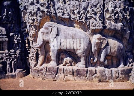 Inde Māmallapuram descente du Gange image non publiée 1. Swaan, Wim. 1968 ou plus tôt matériaux de production photographique pour les villes de Mughul Inde : Delhi, Agra, Fatehpur Sikri des photographies d'architecture ont été sélectionnées et numérisées à partir de ces matériaux. Les portraits, les images ethnographiques et les images d'objets de musée ont été exclus. Les images numériques sont classées géographiquement, d'abord par pays, puis par ville, puis par site complexe ou monument, avec tous les noms dans l'ordre alphabétique. Les noms de lieux sont dérivés du Getty Thesaurus of Geographic Names (TGN)®, Library of Congress Subject Headings, Banque D'Images