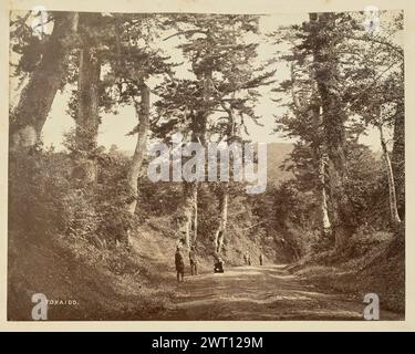 Tokaido. Felice Beato, photographe (anglais, né en Italie, 1832 - 1909) Baron Raimund von Stillfried, imprimeur (autrichien, 1839 - 1911) 1860 vue d'un groupe de personnes, dont deux enfants, arrêté le long de la route Tokaido. De grands pins poussent le long des deux côtés de la route. (Recto, impression) en bas à gauche, écrit à la main en négatif : 'TOKAIDO'. Banque D'Images