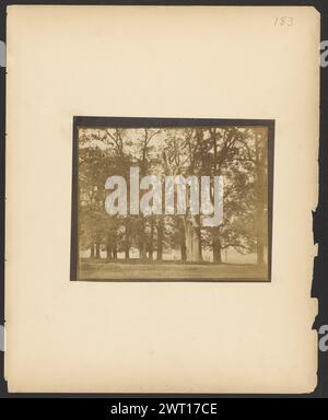 Herne's Oak, Windsor. William John Thoms, photographe (britannique, 1803 - 1885) 1854–1856 peuplement de chênes. Un arbre mort avec un tronc blanchi est au milieu entouré d'une petite clôture. (Recto, monture) en haut à droite, au crayon : '183' ; (verso, monture) en bas à gauche, crayon : 'A15.132'; Banque D'Images