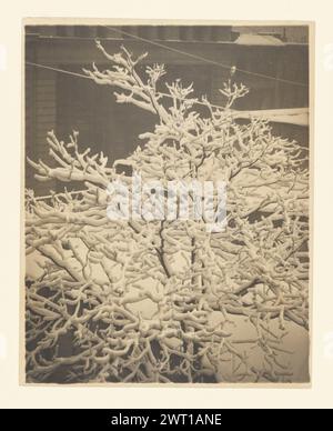 De la fenêtre arrière de 291. Alfred Stieglitz, photographe (américain, 1864 - 1946) avr-15 branches d'arbres couvertes de neige. Banque D'Images