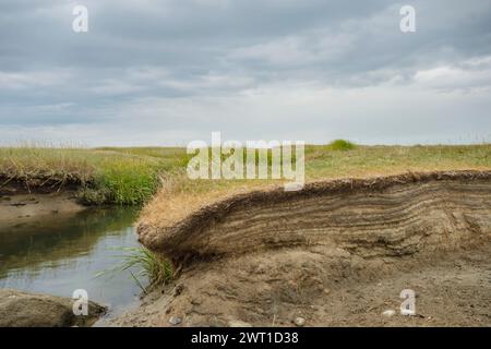 Marais sol avec gazon à marée, Danemark, Mandoe Banque D'Images