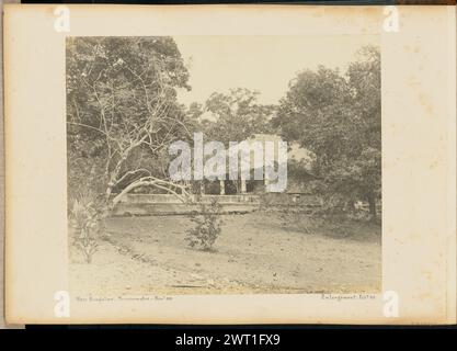 Mess Bungalow. Trincomalee.. Inconnu, photographe négatif novembre 1889, impression février 1894 vue d'un chalet au toit de chaume à travers les arbres qui poussent autour d'elle. Le bungalow dispose de cinq colonnes qui bordent le porche avant, et un mur de béton qui court à partir d'un coin du bâtiment. (Recto, monture) en bas à gauche, manuscrit à l'encre noire : 'Mess Bungalow. Trincomalee. Novr[exposant] 1889' en bas à droite, manuscrit à l'encre noire : 'agrandissement. Feby[exposant] 94' Banque D'Images