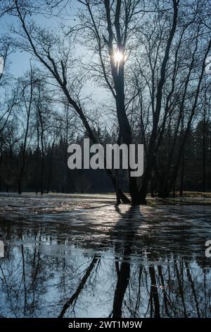 Au milieu de la beauté tranquille de Cesis, Lettonie, la catastrophe frappe alors que la rivière Gauja inonde la zone de camping, transformant le paysage serein en une scène de Banque D'Images