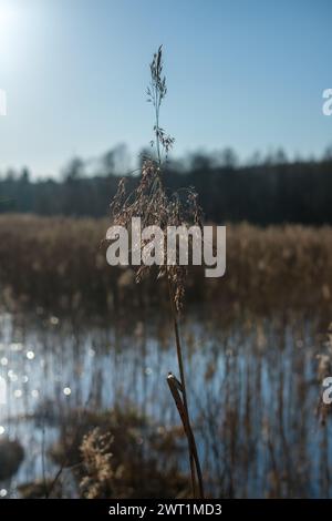 Admirez l'étreinte tranquille du coucher de soleil qui jette ses teintes chaudes sur le lac, peignant un portrait fascinant de la splendeur de la nature. Banque D'Images