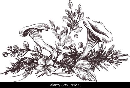 Chanterelles forestières avec des bleuets, de la mousse et des feuilles d'automne. Illustration botanique graphique dessinée à la main à l'encre brune. Pour l'emballage Illustration de Vecteur