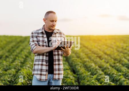 Agronome agriculteur utilise la tablette numérique pour analyser et vérifier le contrôle de la qualité des plants de soja de croissance dans le champ. Technologie et organe agricoles intelligents Banque D'Images