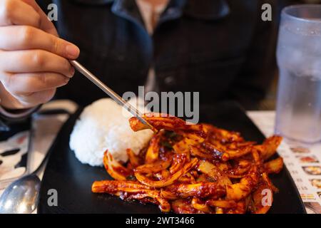 Calmars sauté avec pâte épicée coréenne - style coréen Banque D'Images