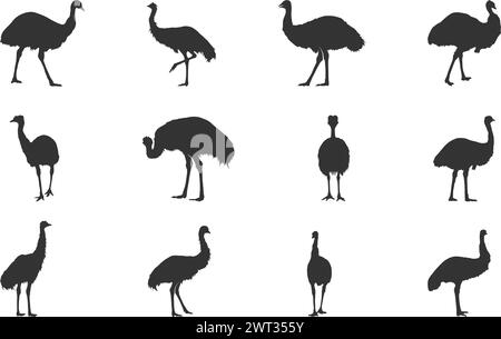 Silhouettes d'emu, silhouette d'oiseau d'emu, oiseau d'emu, silhouette d'emu simple, illustration vectorielle d'emu. Illustration de Vecteur