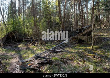 Vieux bateau de pêche en bois abandonné dans la forêt. Cimetière de bateaux à Mazirbe, Lettonie. Banque D'Images