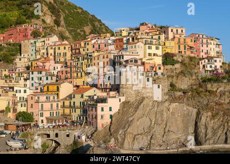 Manarola, IT - 26 juillet 2023 : maisons colorées dans le village de Manarola pendant l'heure d'or Banque D'Images