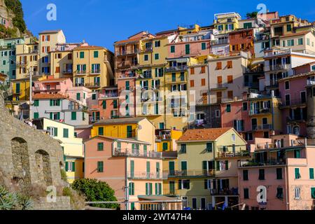 Manarola, IT - 26 juillet 2023 : maisons colorées dans le village de Manarola pendant l'heure d'or Banque D'Images