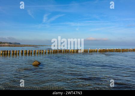 Idylle sur la mer Baltique - brise-lames en bois dans l'eau, avec quelques mouettes et un ciel bleu Banque D'Images