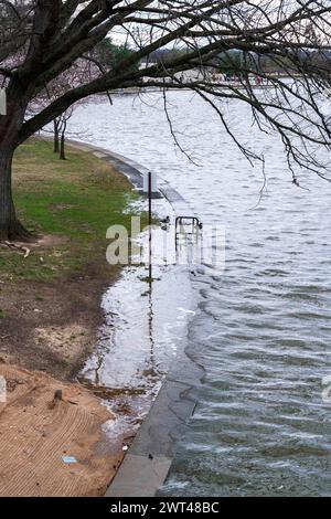 L'eau jaillit au-dessus de la digue au Tidal Basin à Washington, DC, États-Unis. 15 mars 2024. Le National Park Service a annoncé un projet triennal de réhabilitation de la digue autour du Tidal Basin, d'un montant de 113 millions de dollars, forçant l'enlèvement d'environ 140 cerisiers en fleurs célèbres de DC. Crédit : Abaca Press/Alamy Live News Banque D'Images