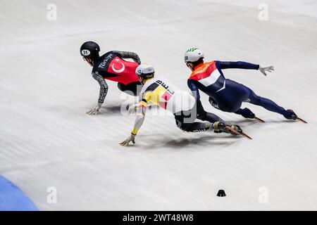 DESMET Stijn bel, HUISMAN Kay NED et AKAR Furkan TUR lors du Championnat du monde de patinage de vitesse sur courte piste à Rotterdam le 15 mars 2024. Photo de Phil Hutchinson. Utilisation éditoriale uniquement, licence requise pour une utilisation commerciale. Aucune utilisation dans les Paris, les jeux ou les publications d'un club/ligue/joueur. Crédit : UK Sports pics Ltd/Alamy Live News Banque D'Images