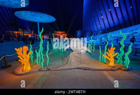 Festival Lusail 2024 lumineux à Lusail Boulevard, Qatar prise de vue nocturne montrant des affichages lumineux vibrants, une fontaine avec des foules de gens regardant Banque D'Images