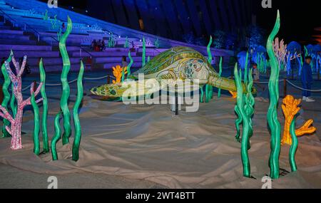 Festival Lusail 2024 lumineux à Lusail Boulevard, Qatar prise de vue nocturne montrant des affichages lumineux vibrants, une fontaine avec des foules de gens regardant Banque D'Images