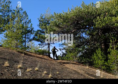 Activités dans l'environnement naturel : le VTT Silhouette pousse le vélo sur un chemin escarpé et glissant pour les cendres et les aiguilles de pin sèches en E. Banque D'Images