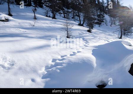 Neige fraîche couvrant le paysage dans une région montagneuse tôt le matin. Estoul, Vallée d'Aoste. Italie Banque D'Images