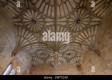 Bodley Staircase to the Great Hall, Chest Church College, Oxford, Angleterre Banque D'Images