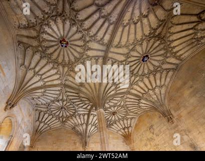 Bodley Staircase to the Great Hall, Chest Church College, Oxford, Angleterre Banque D'Images