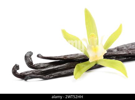 Gousses de vanille et belle fleur isolée sur blanc Banque D'Images