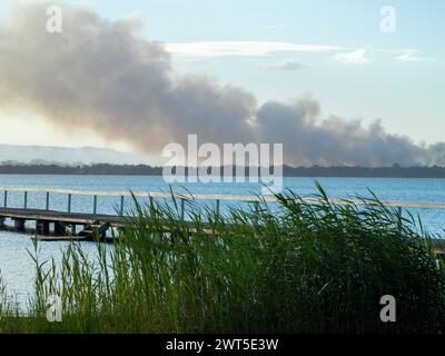 Roseaux verts herbeux devant le lac Tuggerah et la jetée alors que la fumée provient d'un feu lointain en arrière-plan, à Central Coast NSW Australie Banque D'Images