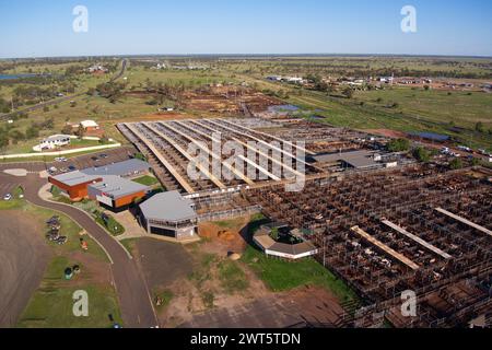 Aerial of the Roma Saleyards le plus grand centre de vente de bétail d'Australie, avec plus de 400 000 bovins passant par an. Roma Queensland Australie Banque D'Images