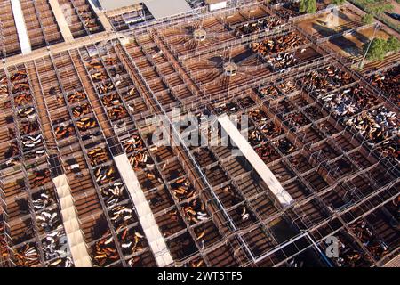 Aerial of the Roma Saleyards le plus grand centre de vente de bétail d'Australie, avec plus de 400 000 bovins passant par an. Roma Queensland Australie Banque D'Images